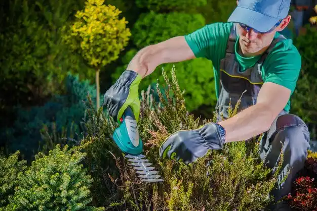 landscaping services Ravena